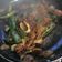 El cooksnap de Fer Arroyo cuando hizo Chorizo guisado.