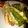 El cooksnap de Celina 👩🏻‍🍳💕 cuando hizo TACOS caseros 🥙.