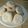 Lee's's cooksnap of when they made Snickerdoodles.