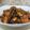 Cooksnap dari Puji Khoirun Nugrahi untuk resep Ayam kecap