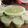 Cooksnap dari lily sumarni untuk resep Puding Lumut Pandan