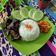 Cooksnap dari Cheylvia untuk resep Paru goreng