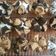 Cooksnap dari Fanny Felicia untuk resep Bolu Kukus Merekah