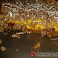 Cooksnap από peppapig στη συνταγή Τάρτα σοκολάτα-λεμόνι