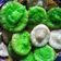 Cooksnap dari Zoel Noto untuk resep Kue Cucur Pandan #pr_kuetradisionalberserat
