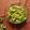 Mauli Mankad's cooksnap of when they made રાઈતા મરચાં (Raita Marcha Recipe In Gujarati).