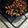 El cooksnap de JavierHawks pino cuando hizo Hongos a la mexicana.