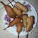 Cooksnap dari Edtin Siti Ramasari untuk resep Corn Dog