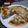 Cooksnap dari damayanti untuk resep Pizza Peperoni Bolognaise Keto