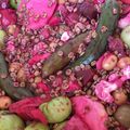 صورة من Kani Bagzada، شاركها بعد تجربة وصفة مخلل (الطرشي الاحمر)