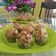 Cooksnap dari Minah Miarso untuk resep Bolu Kukus Pisang Mekar No Telur No Mixer