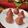Priya Malhotra Drishti Panjwani's cooksnap of when they made Rose Mawa Modak.