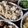Cooksnap dari Nova Halida untuk resep Swekiaw atau Wonton