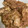 El cooksnap de Mar Vilches Carrasco cuando hizo Pollo con foie al armagnac.