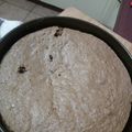 El cooksnap de Polita cuando hizo Bizcocho para torta o postres.
