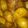 Preeti Chawla 's cooksnap of when they made Chilke wale aloo.