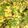 Vandna bosamiya's cooksnap of when they made ઈન્સ્ટન્ટ ખમણ ઢોકળા (Instant Khaman Dhokla Recipe In Gujarati).
