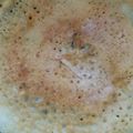 Vanika Agrawal's cooksnap of when they made Moong daal cheela.