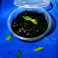 Cooksnap dari Nia d'Kitch untuk resep Selai coklatBy yunda yun