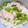 El cooksnap de ₵♡Ϛ❘Ν₳ νΕ₲α₪Ⓐ✍. Salvador. cuando hizo Menudo Sinaloense.