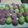 Cooksnap dari Sogie Arnie untuk resep Thousand Layer Emerald Mooncake (Pia lapis Isi Keju)