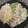El cooksnap de Samantha Leal cuando hizo Pescado en crema.