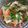 Cooksnap dari yuyun winarto untuk resep Steam kerapu