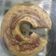 Cooksnap dari bunda azzam untuk resep Bolu pisang