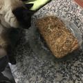 El cooksnap de Matias Martinez cuando hizo Pan de leche.