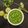 Bhavana Shah's cooksnap of when they made ગ્રીન ચટણી (Green Chutney Recipe in Gujarati).
