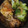 El cooksnap de Silvia Cardelli cuando hizo Contramuslos de pollo en salsa de champiñón y pimiento rojo.