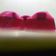 Cooksnap dari Restu Auliani untuk resep Puding Buah Naga lapis Susu