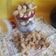 Cooksnap dari Aisyah wan untuk resep Onde-Onde Ketawa