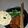 Cooksnap dari Rose Tina untuk resep Mie ayam