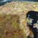 Cooksnap dari Windi Gustiawati untuk resep Ragout Sayur n Sosis Untuk Isian Risol, Gabin, Roti, dll