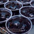 Cooksnap Aznie Khasri semasa beliau membuat Kek Coklat Moist Kukus.