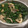 宮鎖沉香 的 龍鬚菜炒袖珍菇(簡單料理) cooksnap