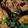 Jeremy's Kitchen 的 三杯雞 cooksnap