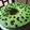 Cooksnap dari Kiekie_Fahzira17 untuk resep Bolu panggang pandan kismis