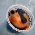 Cooksnap dari Windy Whi'ankh untuk resep Puding ikan koi lucu
