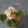 Cooksnap dari Njoo Lindawati untuk resep #147 Lohoa atau Bakso serabut