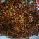 Cooksnap dari Andi Fatma Zahra untuk resep Tempe Teri Kering