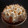 El cooksnap de 🧑‍🍳Antonela Miracca cuando hizo Lemon pie.