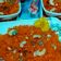 kavita goel का कुकस्नैप जब उन्होंने पीले मीठे चावल (pile meethe chawal recipe in Hindi) बनाया था।