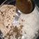 Nadin का कुकस्नैप जब उन्होंने दाल चावल (Dal chawal recipe in hindi) बनाया था।