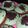 Cooksnap dari mals untuk resep Pukis Pandan Keju (#pr_pukis)