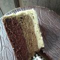 Cooksnap dari Arrini's untuk resep Cake Tiramisu (Kukus)