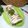 Cooksnap dari Iqha Qyuth untuk resep 174.Puding Zebra Tanpa Roti dan Telur