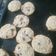 El cooksnap de Soledad Del Valle Lopez cuando hizo Galletas de avena con chips de chocolate.