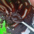 Cooksnap dari Puti Ummu Gita untuk resep Selai Coklat (Untuk Isian Roti, Bakpao, dll)